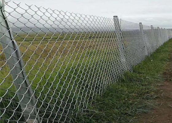 Le PVC enduit de Mesh Fencing 60*60mm de cyclone de zinc a enduit Diamond Mesh