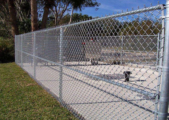 Le PVC enduit de Mesh Fencing 60*60mm de cyclone de zinc a enduit Diamond Mesh
