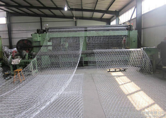 Le PVC galvanisé d'immersion chaude a enduit le fil Mesh For Rock Walls de Gabion