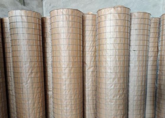 6X6cm 304 ont galvanisé le fil soudé Mesh Fence For Animal Enclosure