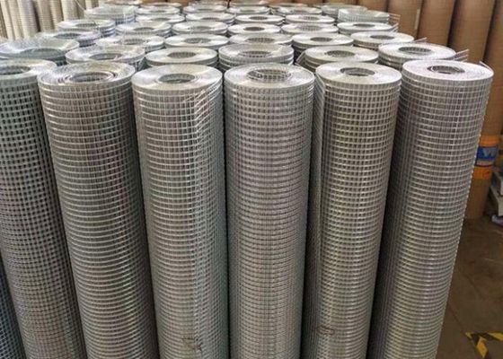 6X6cm 304 ont galvanisé le fil soudé Mesh Fence For Animal Enclosure